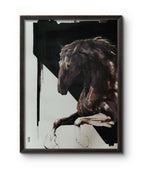 HORSE JU 2