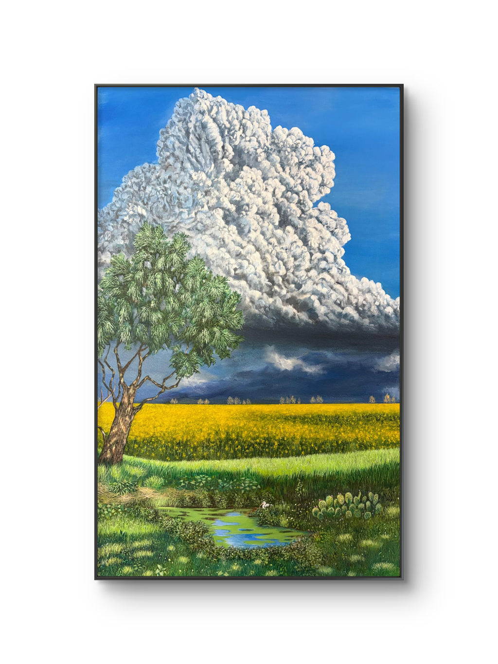 Nature Landscape
